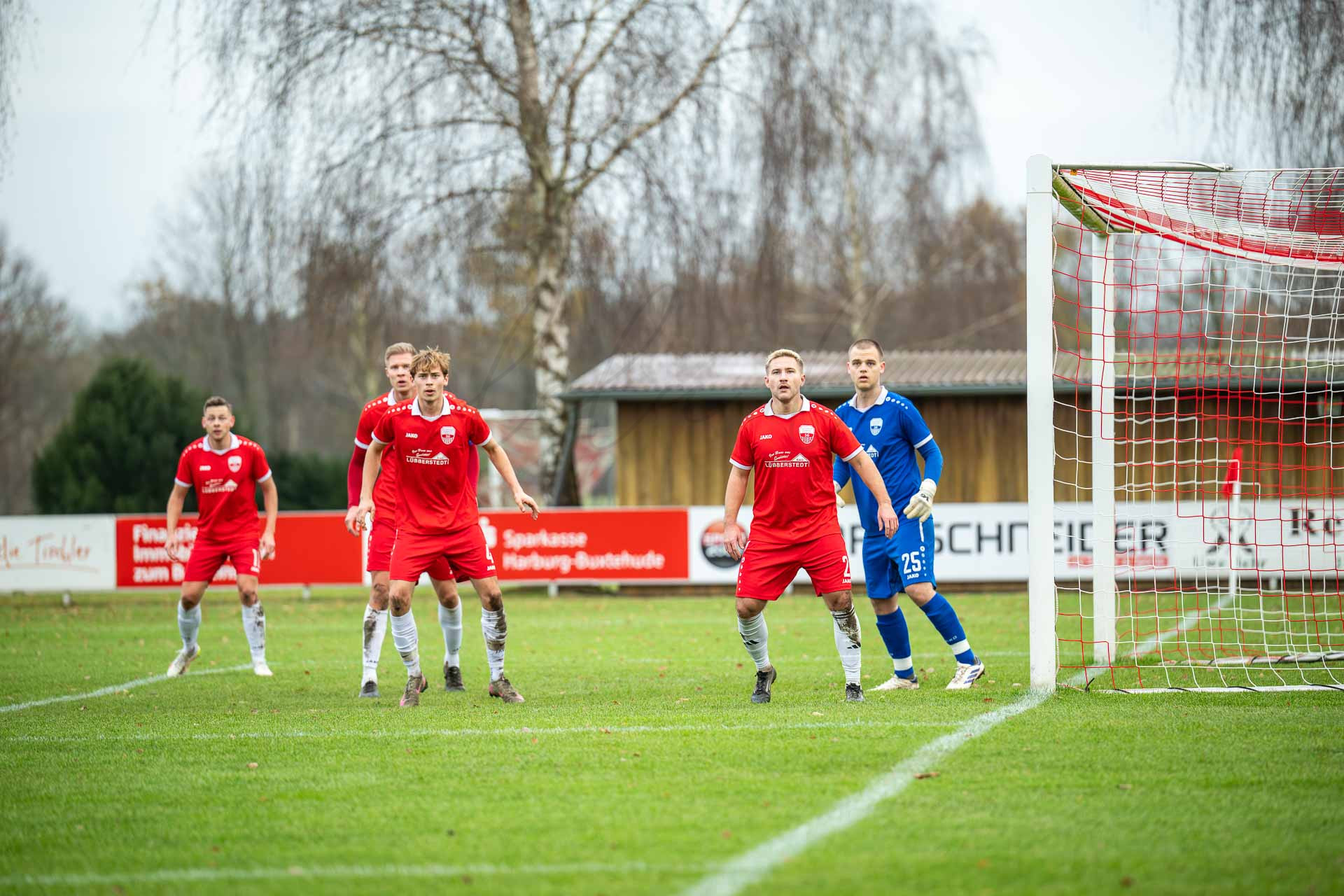 sg scharmbeck – bw bornreihe – 103001